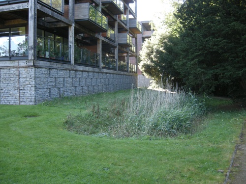 Accordia Cambridge Residential Development - SUDS Pond