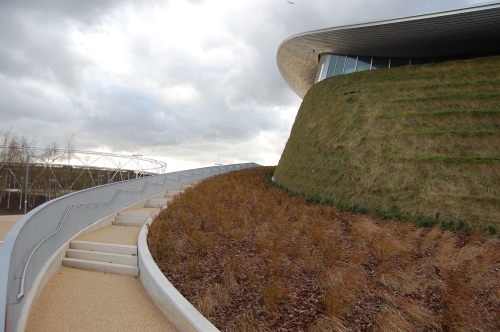 Aquatic Centre Landscape, Stratford - Concrete Steps, Resin Bonded Gravel, Grass Planting and Green Wall